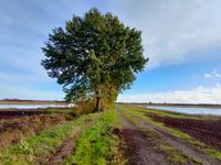 Naturp&auml;dagogik Natur entdecken